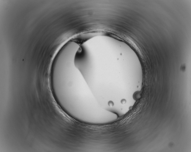 X0000099431132200805301423