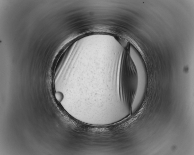 X0000099431133200805301423