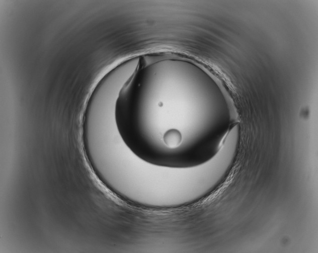 X0000099431134200805301423