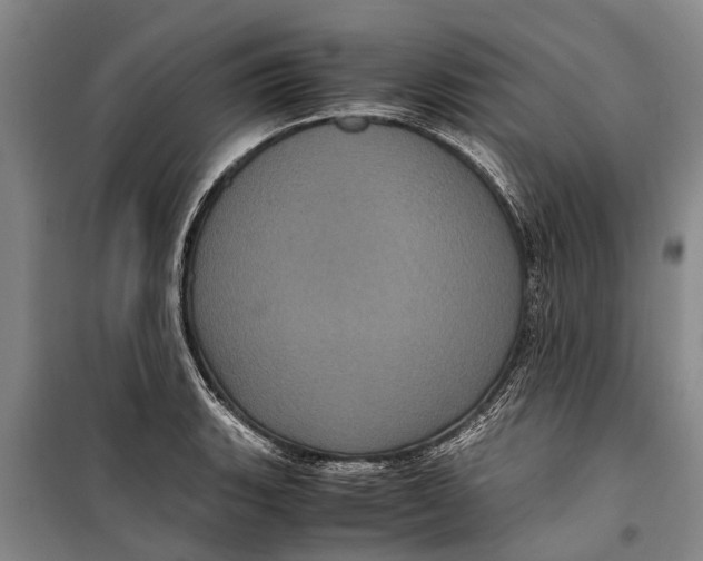 X0000099431135200805301423