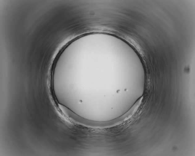 X0000099431136200805301423