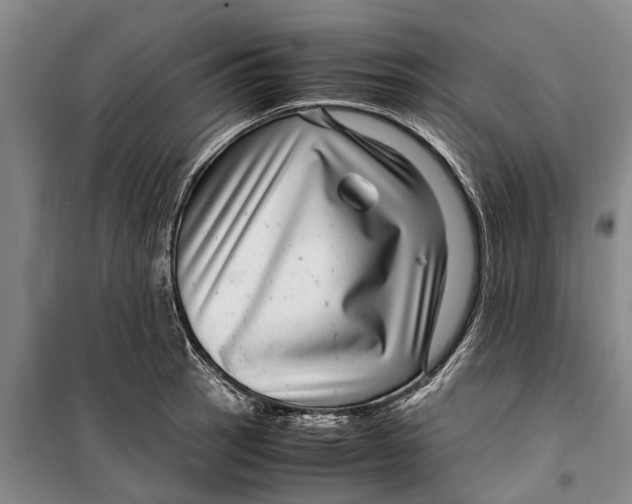 X0000099431137200805301423