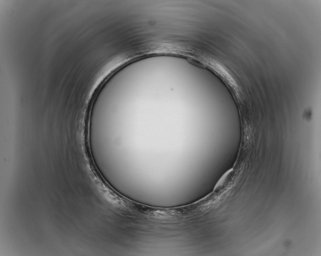 X0000099431138200805301423