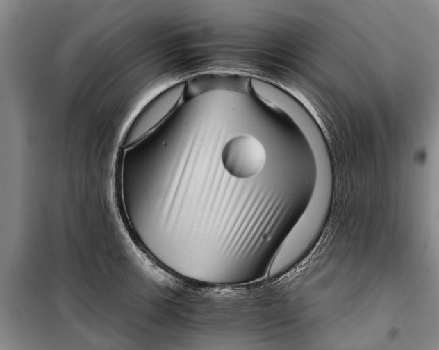 X0000099431139200805301423