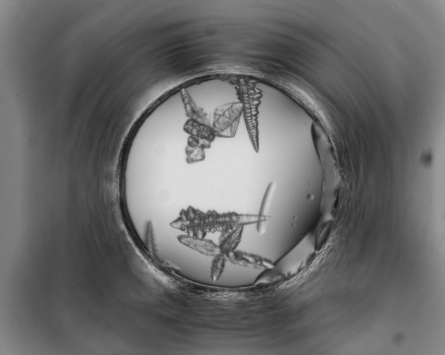 X0000099431141200805301423