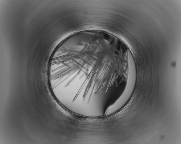 X0000099431142200805301423