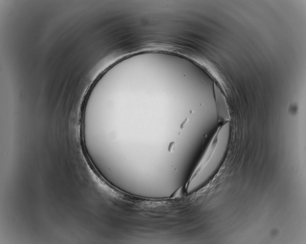 X0000099431143200805301423