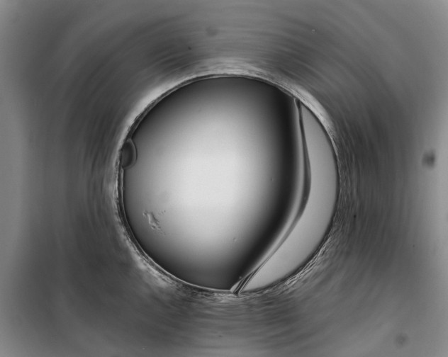 X0000099431144200805301423