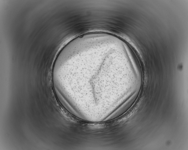 X0000099431145200805301423