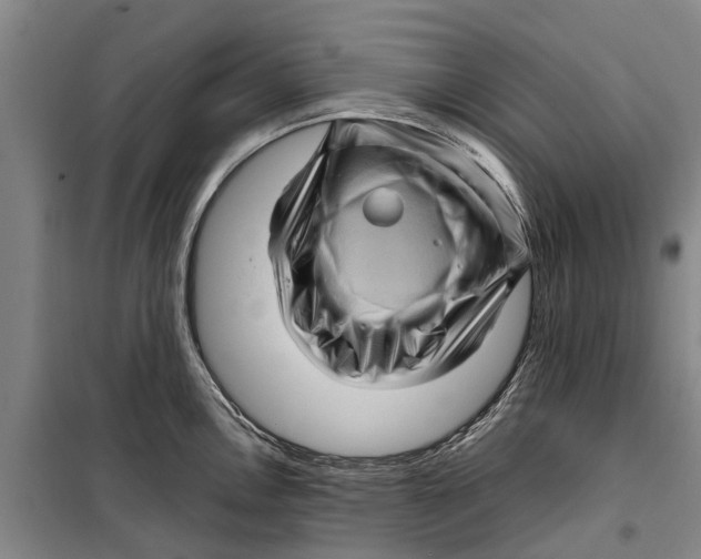 X0000099431146200805301423