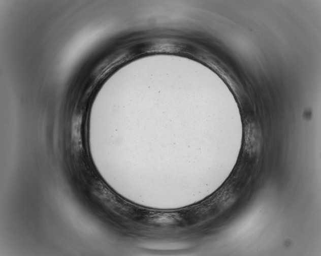 X0000099431150200805301423