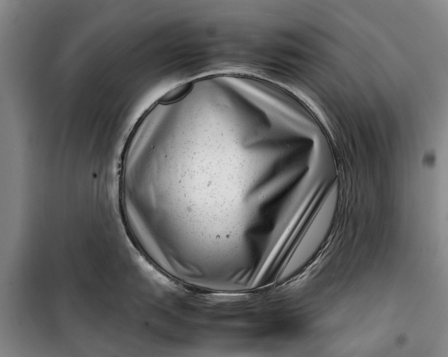 X0000099431151200805301423