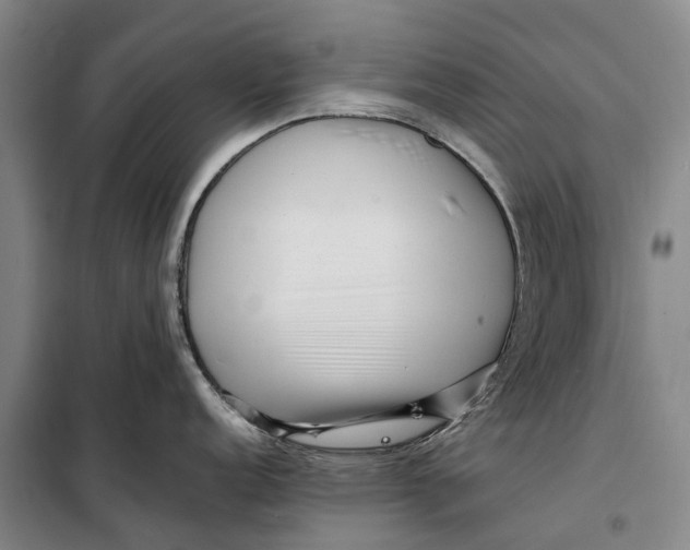 X0000099431152200805301423