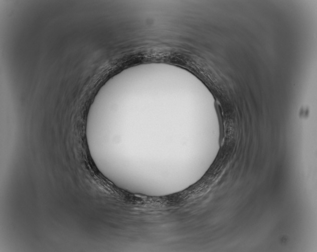 X0000099431153200805301422