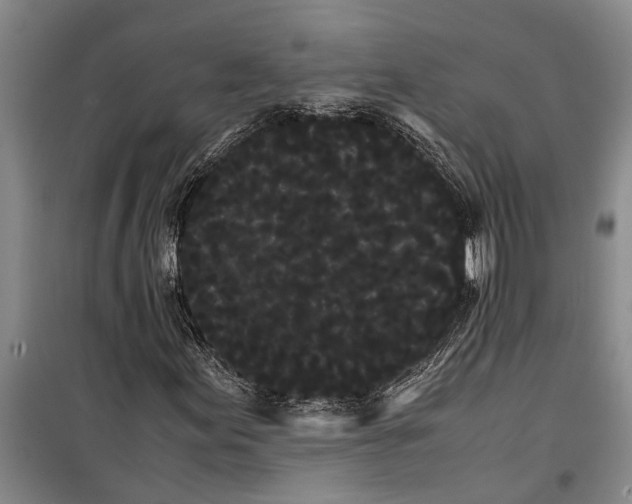 X0000099431155200805301422