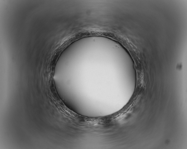 X0000099431157200805301422