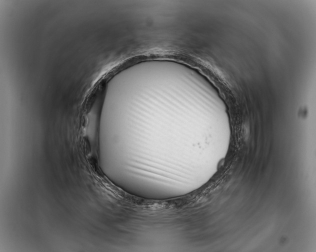 X0000099431160200805301422