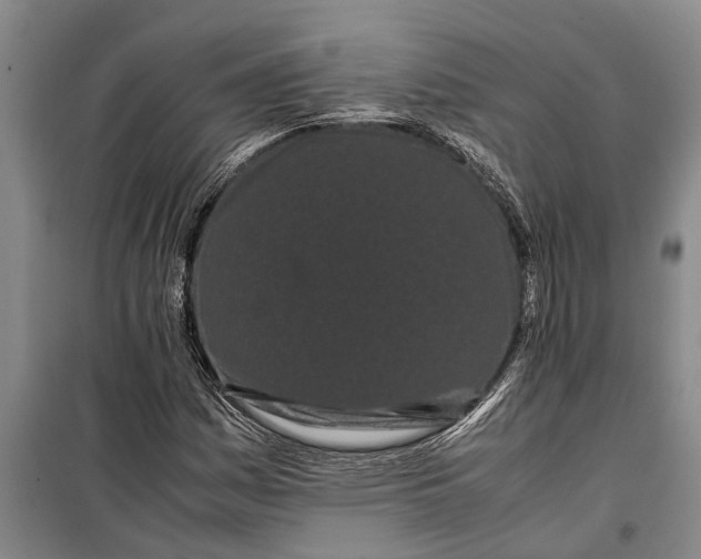 X0000099431161200805301422