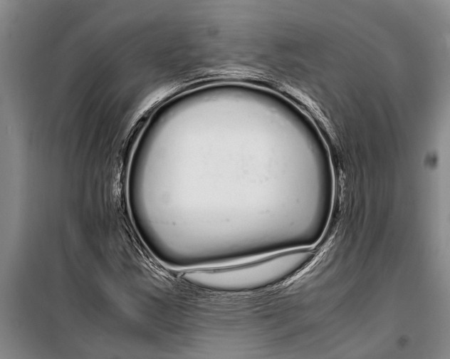 X0000099431163200805301422