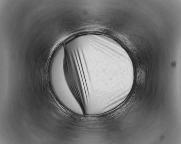 X0000099431164200805301422