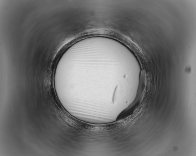 X0000099431166200805301422