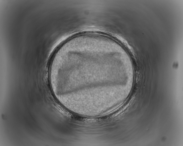 X0000099431167200805301422