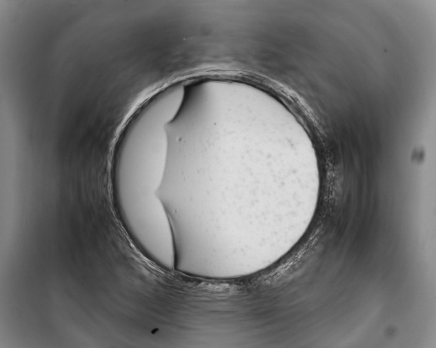 X0000099431168200805301422