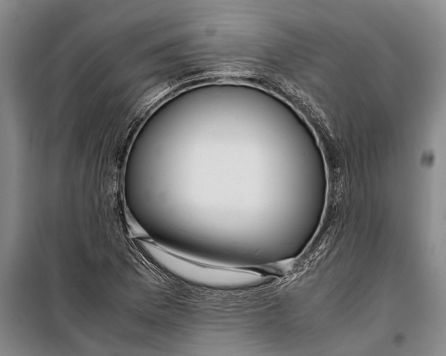 X0000099431169200805301422