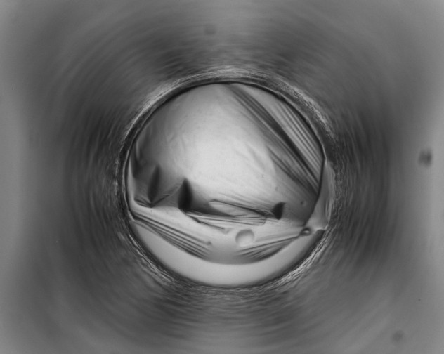 X0000099431170200805301422