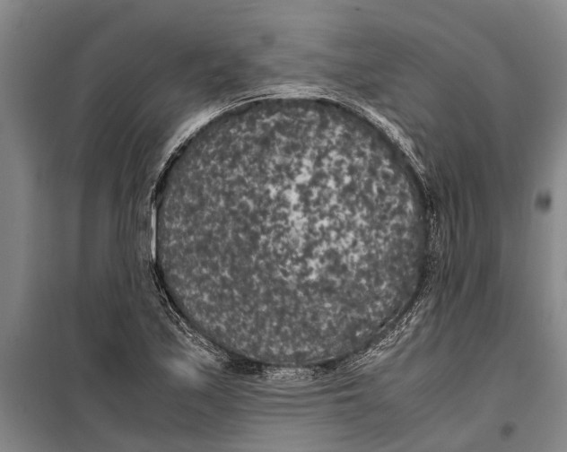 X0000099431171200805301422