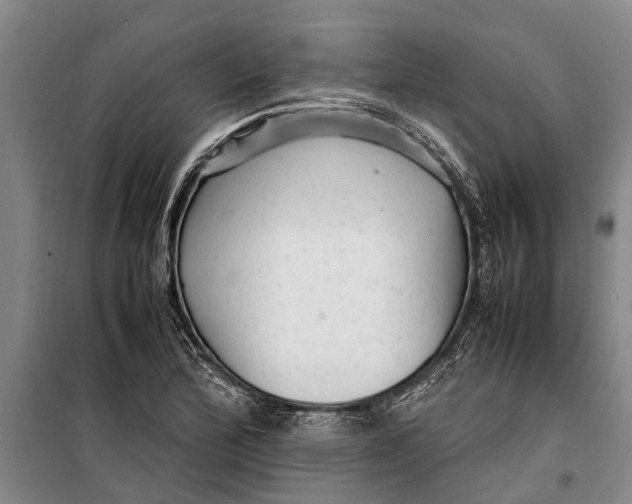 X0000099431172200805301422