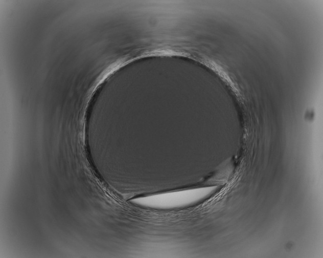 X0000099431173200805301422