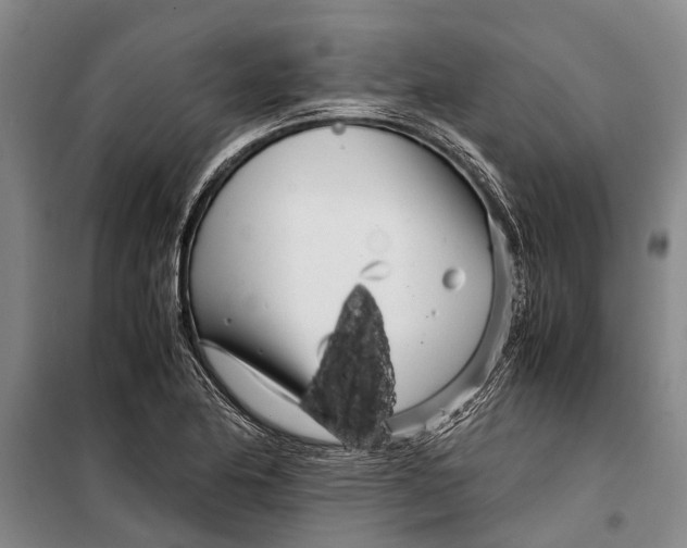 X0000099431174200805301422