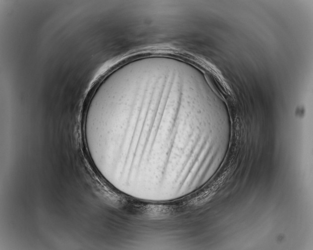 X0000099431176200805301422