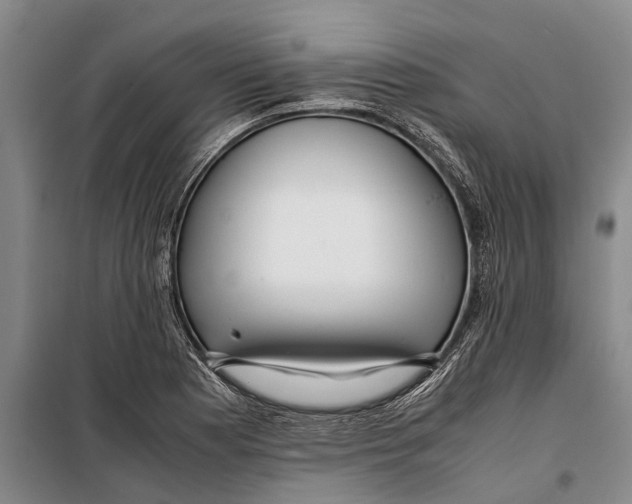 X0000099431177200805301422