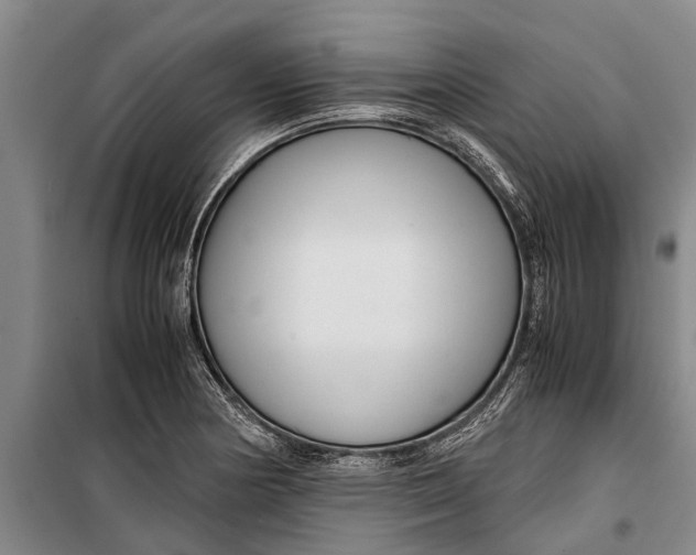 X0000099431178200805301422