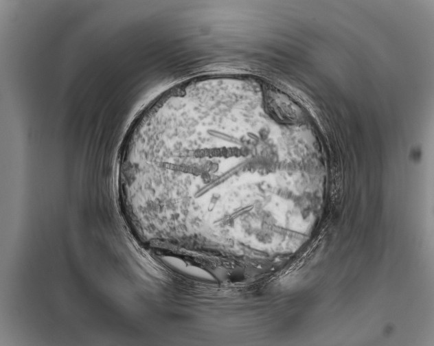 X0000099431179200805301422