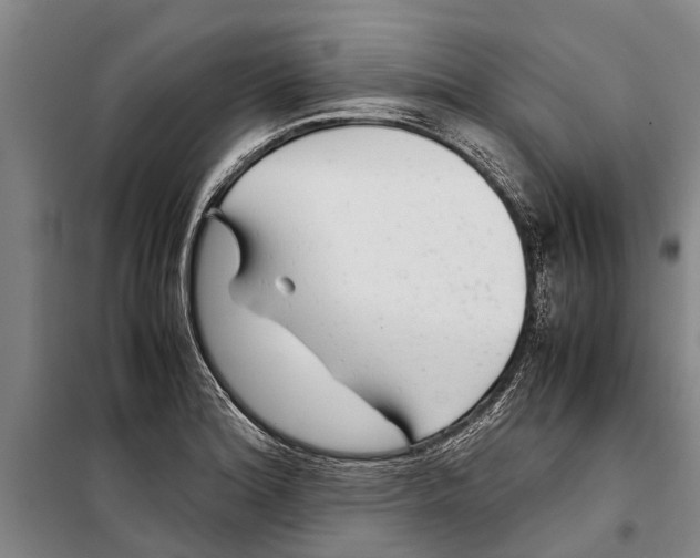 X0000099431180200805301422