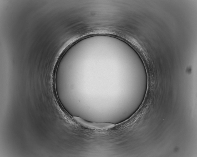 X0000099431181200805301422