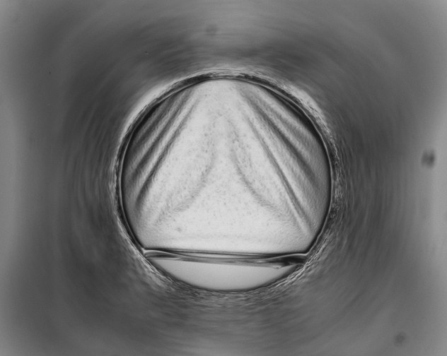 X0000099431183200805301422