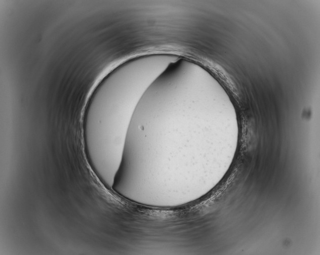 X0000099431184200805301422