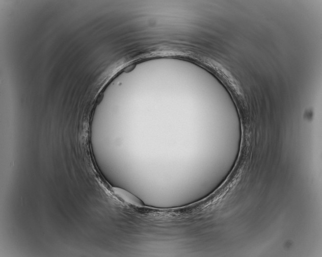 X0000099431185200805301422