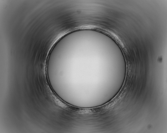 X0000099431186200805301422