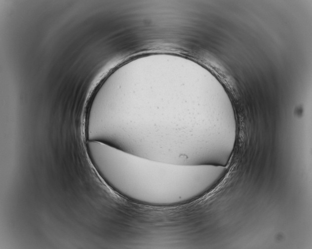 X0000099431188200805301422