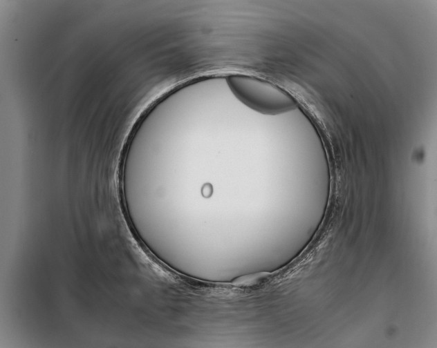 X0000099431189200805301422