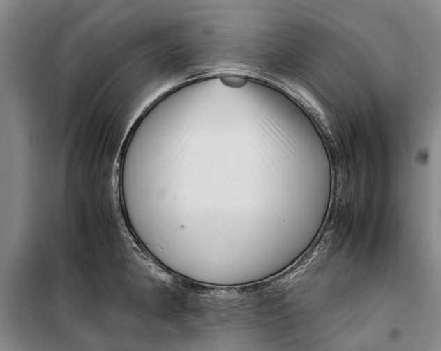 X0000099431190200805301422