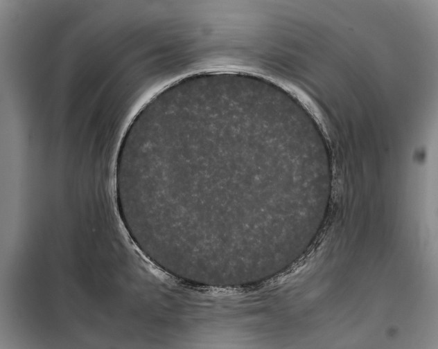 X0000099431191200805301422