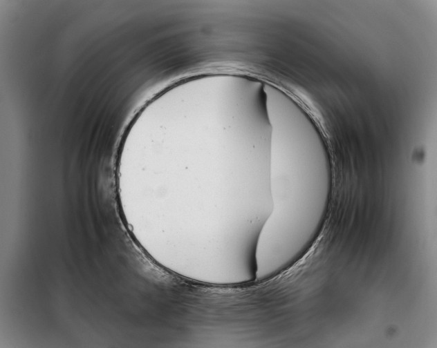 X0000099431192200805301422