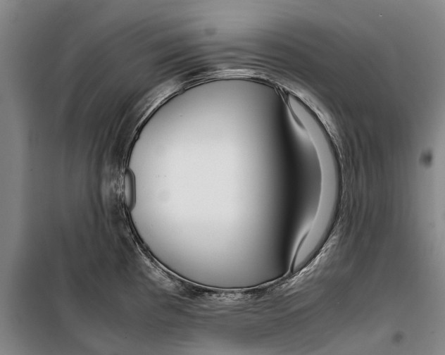 X0000099431193200805301422