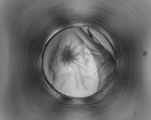 X0000099431194200805301422